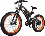 Bicicletta Elettrica 750 Watt
