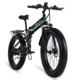 Fat Bike Elettrica 1000 Watt