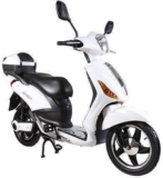 Scooter Elettrico 250W