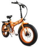 Bicicletta Elettrica 250 Watt
