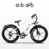Bicicletta Elettrica
